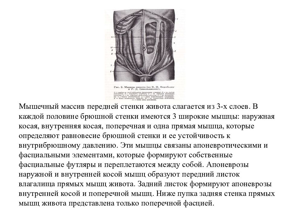 Грыжи передней брюшной стенки презентация