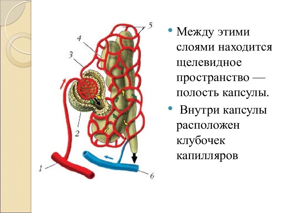 Выделение для презентации