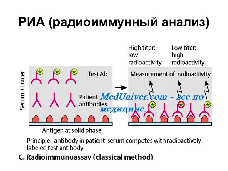 Радиоиммунный анализ схема