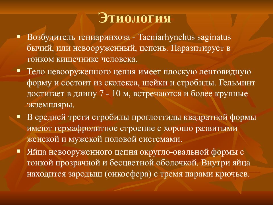 Способ заражения тениаринхозом. Возбудитель тениаринхоза. Тениаринхоз основные клинические проявления. Taeniarhynchus saginatus – возбудитель тениаринхоза. Тениаринхоз бычий цепень.