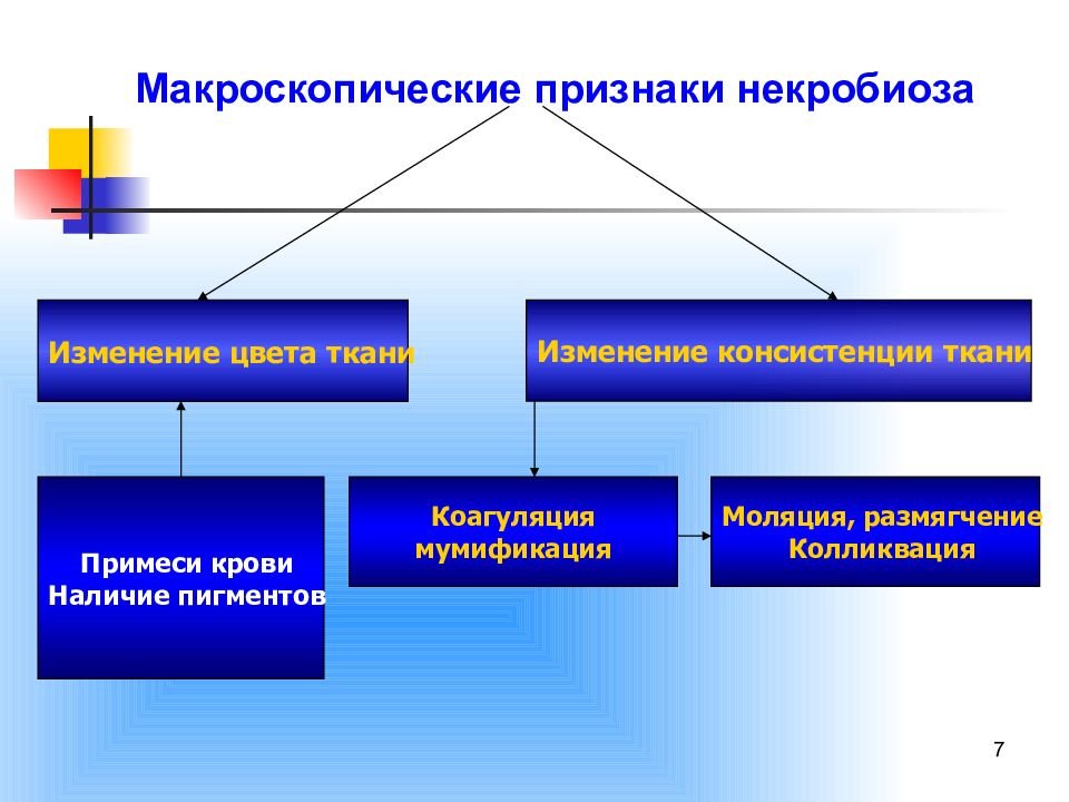 Изменение тканей