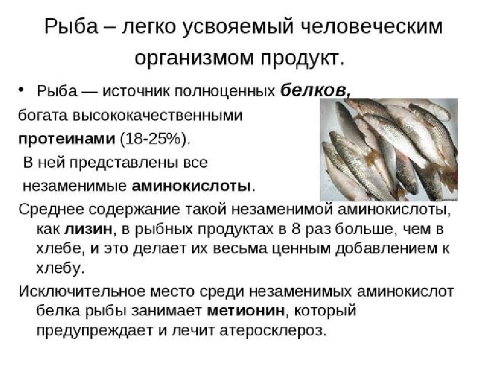 Оценка качества рыбы. Характеристика рыбных продуктов. Ассортимент рыбы и рыбных продуктов. Классификация и ассортимент рыбы. Характеристика рыбы рыбной продукции.