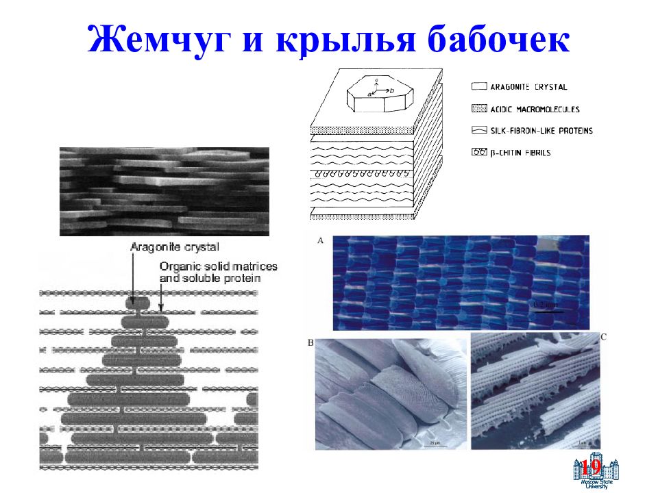 Реальная структура. Какова структура реальной поверхности. Pmm2 структура твердого.