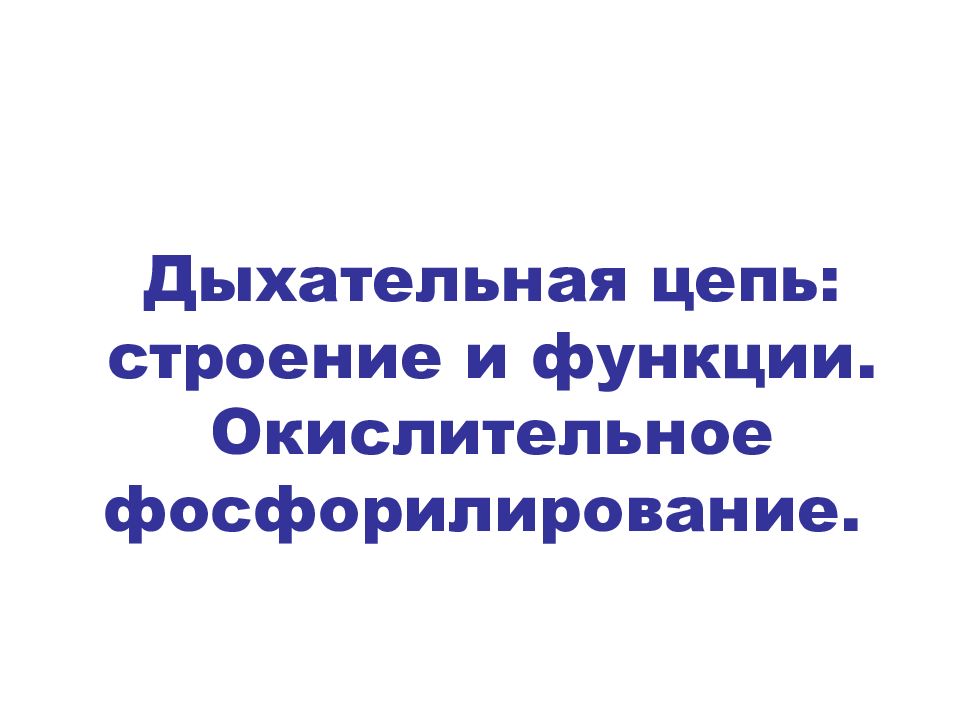 Дыхательная цепь: строение и функции. Окислительное фосфорилирование