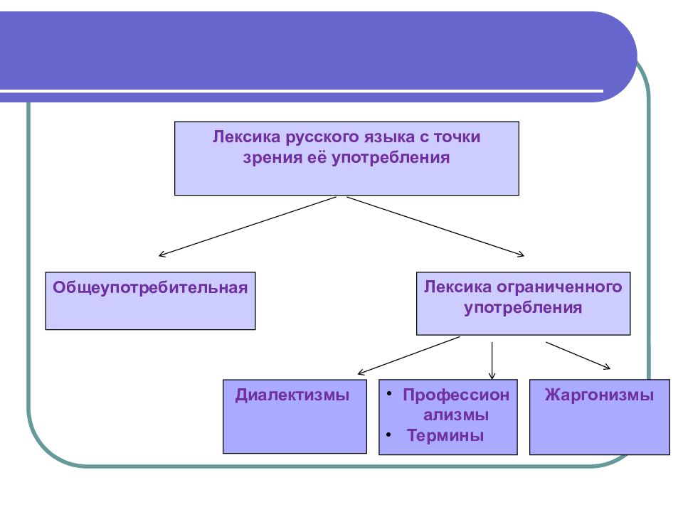 Специальная лексика презентация