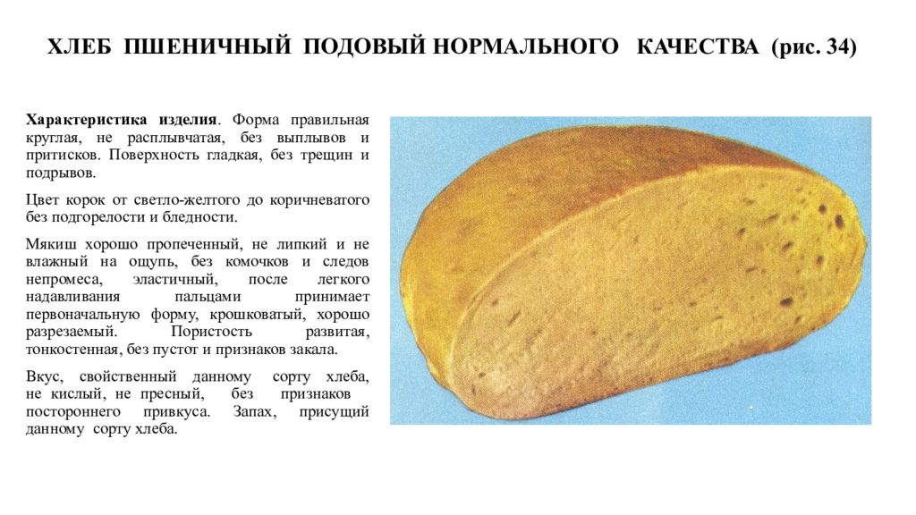 Хлеб для собаки читать краткое