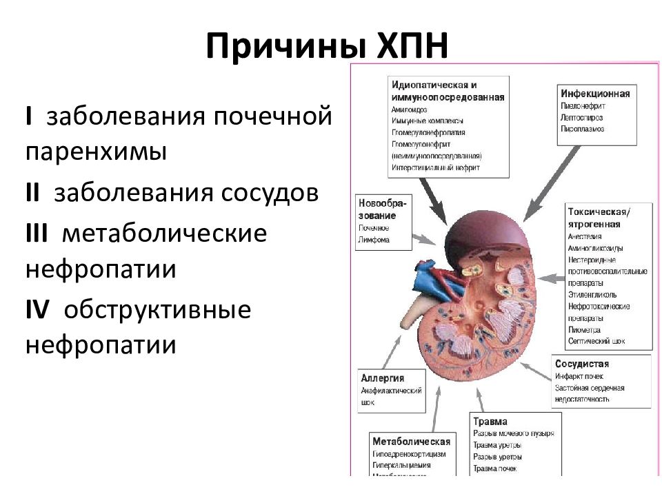 Хроническая болезнь почек презентация