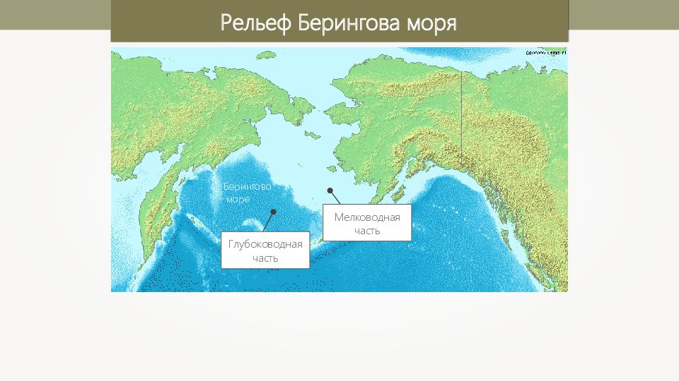 Берингов пролив на карте тихого океана. Заливы и проливы Берингова моря. Глубина Берингова моря максимальная на карте. Берингово море на физической карте. Берингово море на контурной карте.