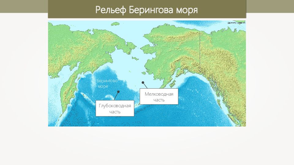 Показать берингов пролив