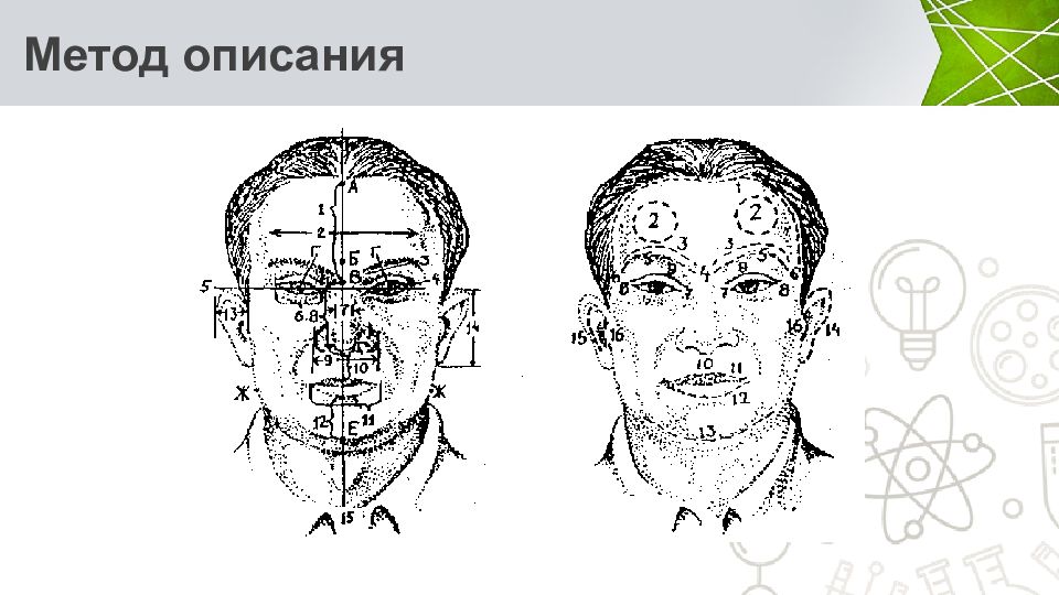 Методы описания личности. Описание по методу словесного портрета в криминалистике. Описать внешность человека по методу словесного портрета. Описание внешности криминалистика.