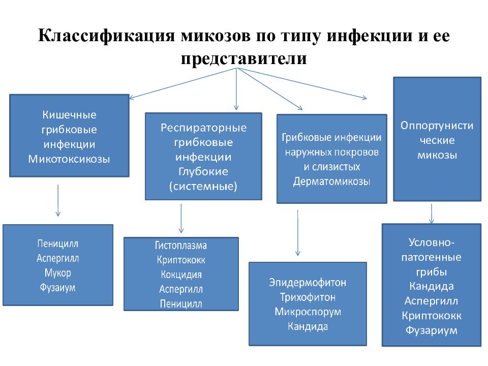 Возбудители грибковых инфекций презентация