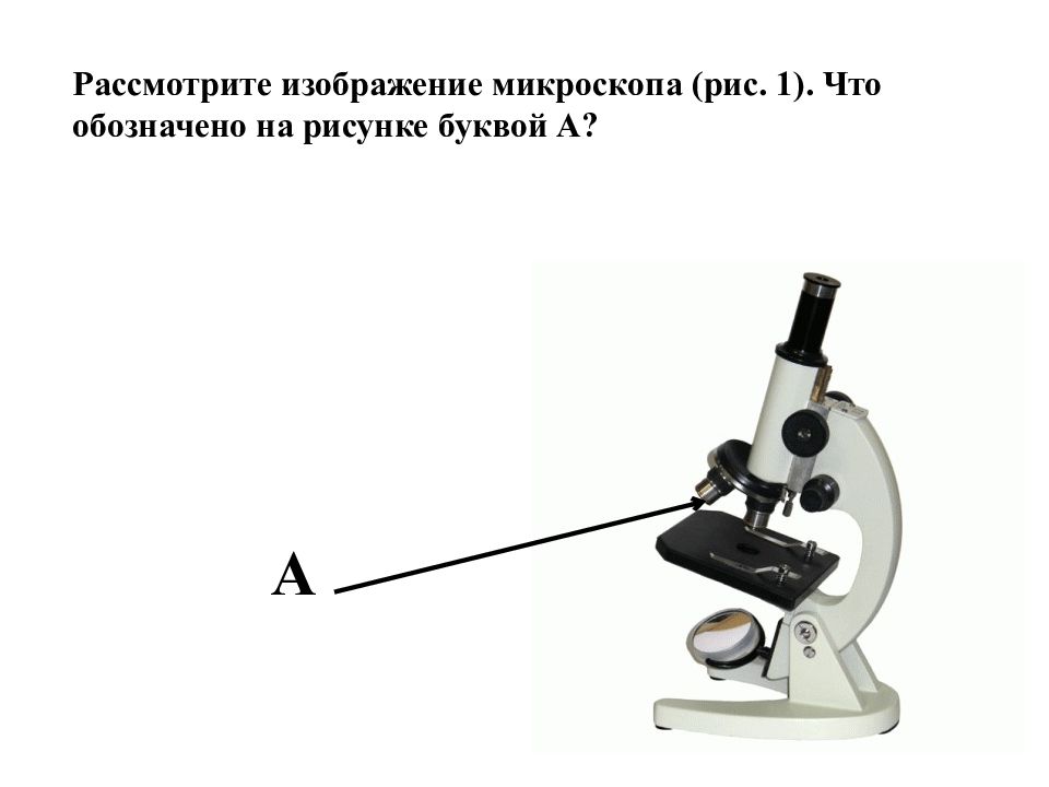 Ольга на уроке изучал устройство микроскопа и делал соответствующие подписи к рисунку впр цифрового