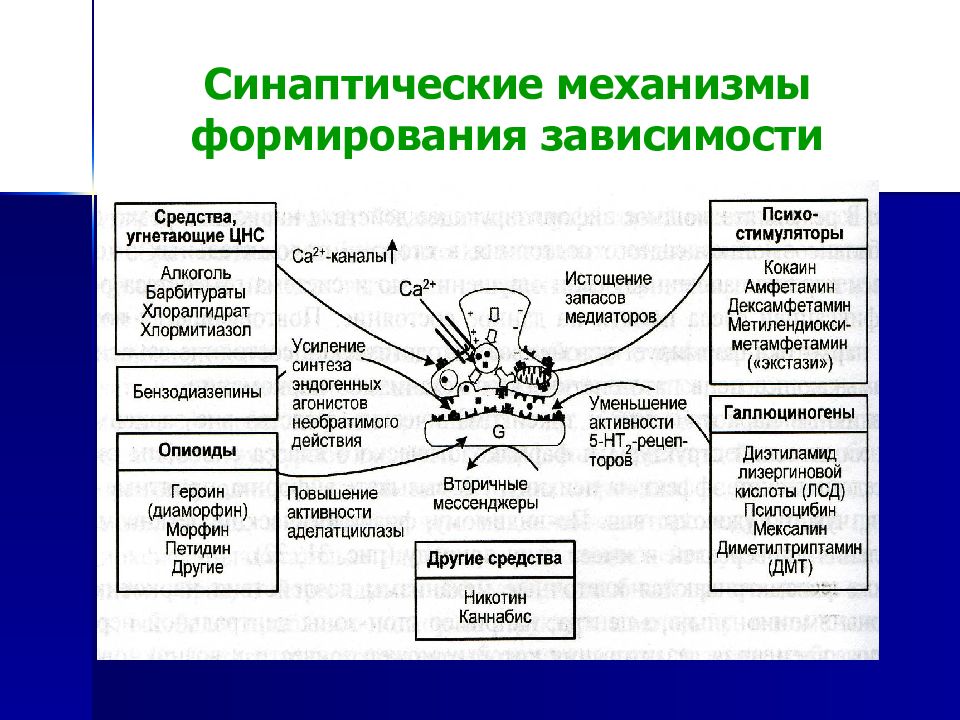 Патофизиология алкоголизма презентация