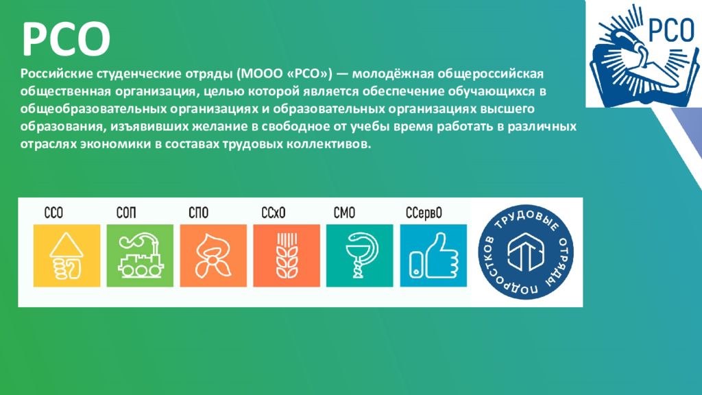 Российские студенческие отряды (МООО «РСО») — молодёжная общероссийская