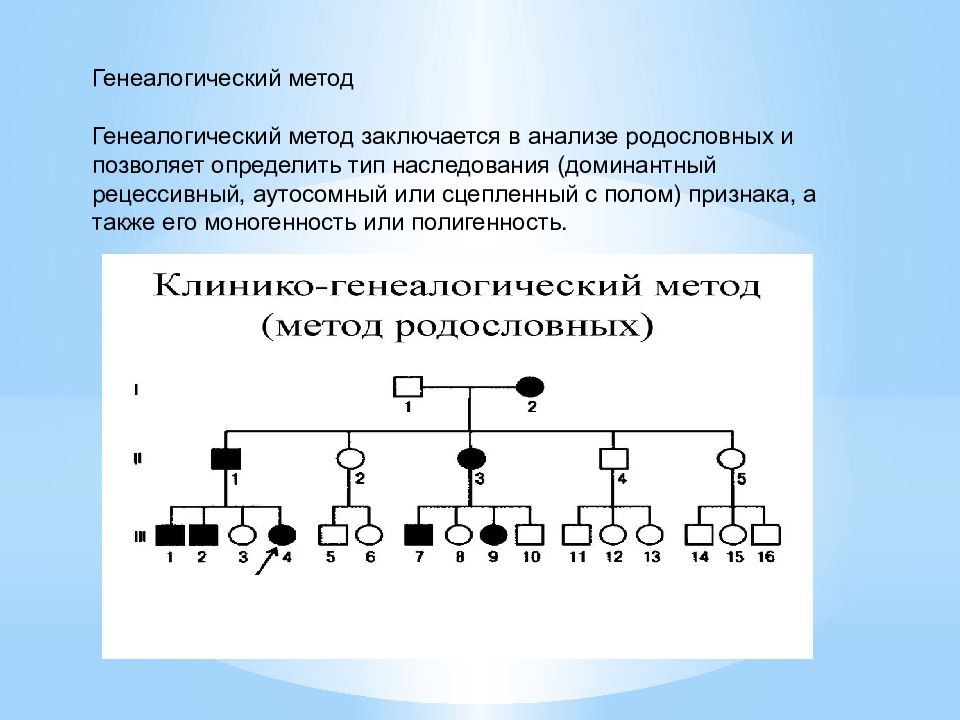 Семейный метод. Аутосомно промежуточный Тип наследования. Аутосомно-доминантный и аутосомно-рецессивный типы наследования. Клинико генеалогический метод типы наследования. Генеалогический метод презентация.