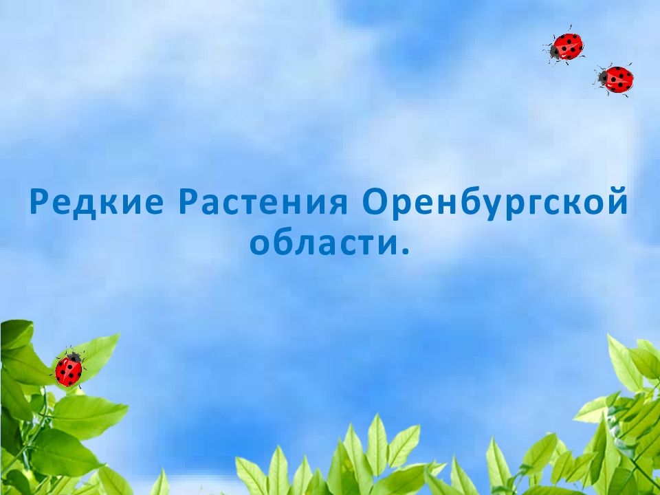 Редкие Растения Оренбургской области