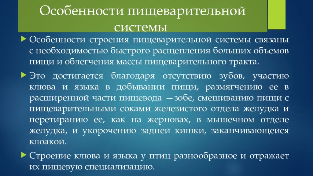 Особенности пищеварения. Особенности пищеварительной системы. Особенность пищеварительной системы ребенка требующая особого. Особенности пищеварительной системы ребенка основного внимания.