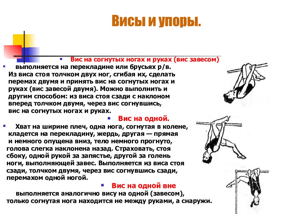 Висы и упоры в гимнастике. Висы и упоры на уроках физической культуры.