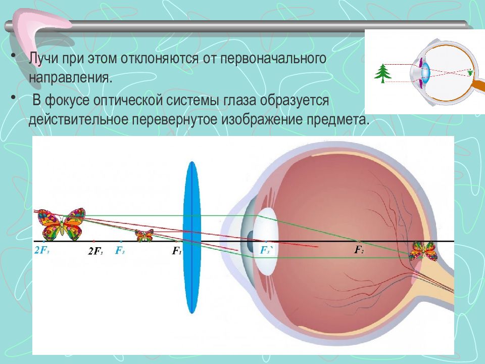 Рисунок аккомодация глаза