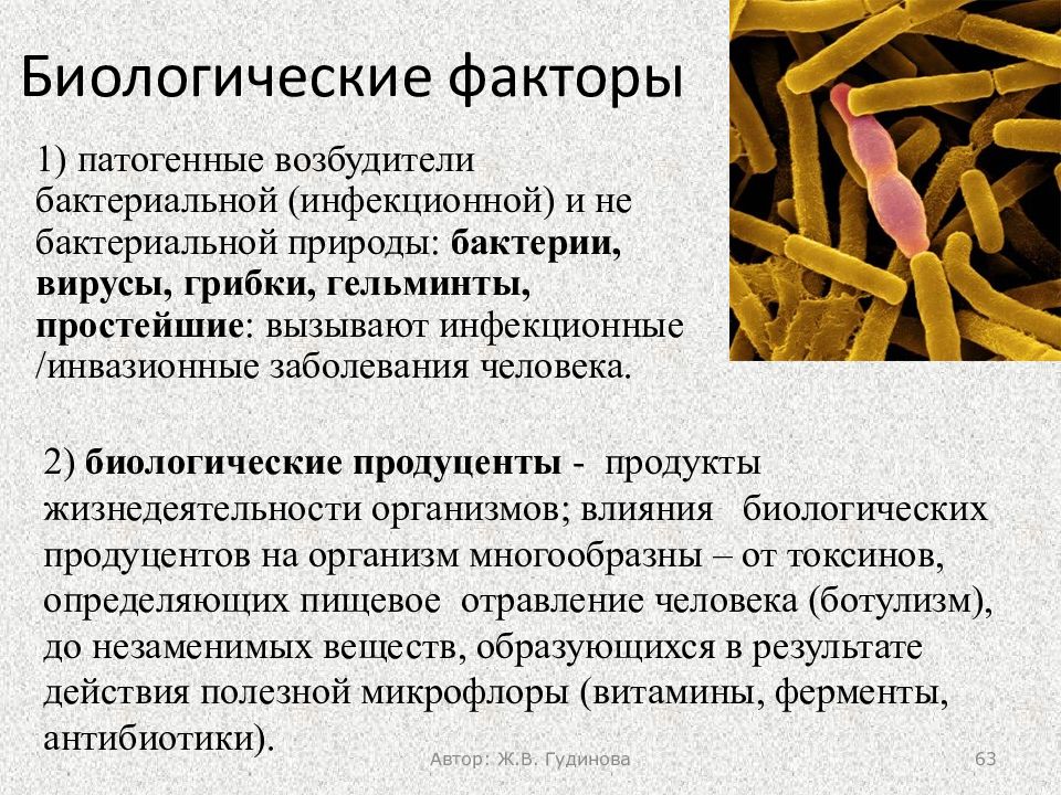 Биологические патогенные факторы. Действие на микроорганизмы биологических факторов. Биологические факторы характеристика. Типы биологических факторов.