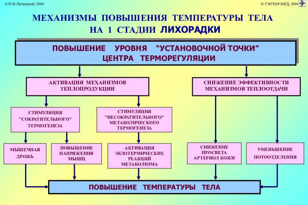 Механизм температуры. Механизм повышения температуры тела. Механизмы повышения температуры тела при лихорадке. Механизмы участвующие в повышении температуры тела при лихорадке. Механизм повышения температуры при лихорадке.