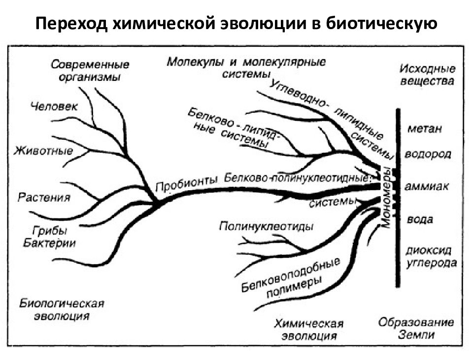 Химическая эволюция земли