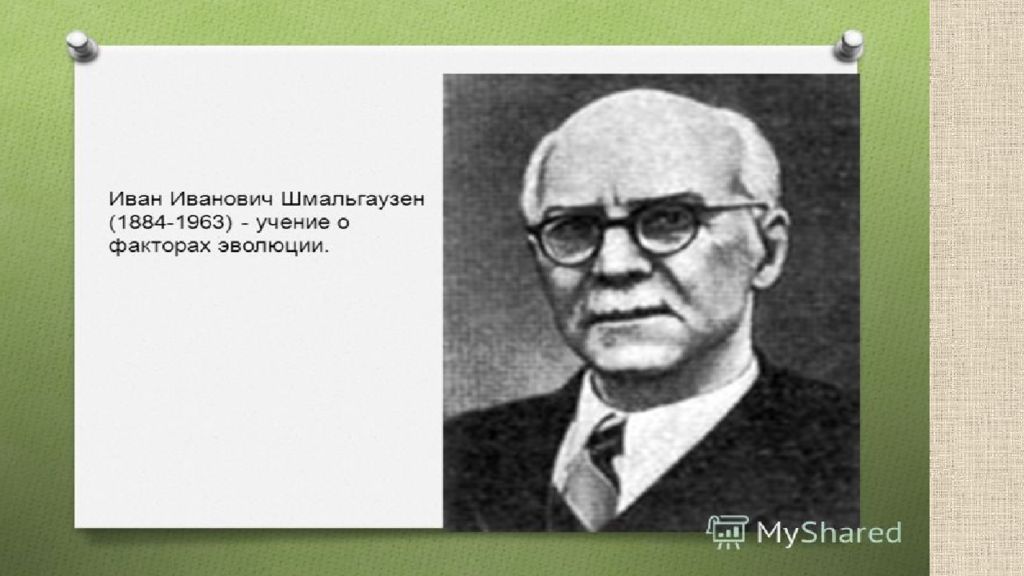 Вклад в развитие биологии. Пприуд учёный вклад в зоологию. Ученый годы жизни вклад в развитие зоологии. Бирнов вклад в биологию. Учёные внесшин вклад в менеджмент до нашей эры.