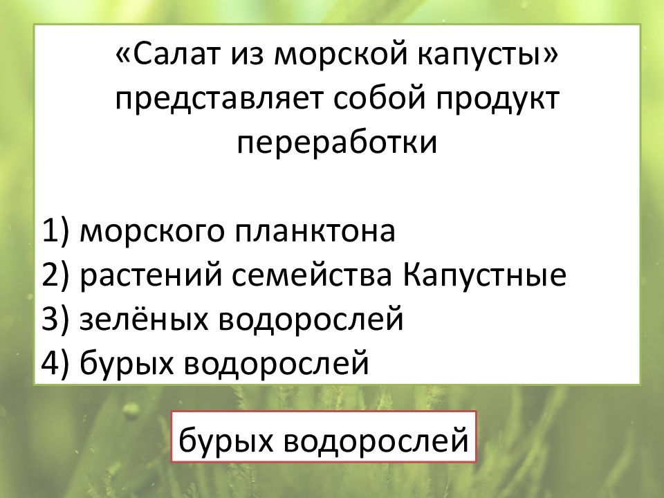 Презентация водоросли их разнообразие и значение в природе