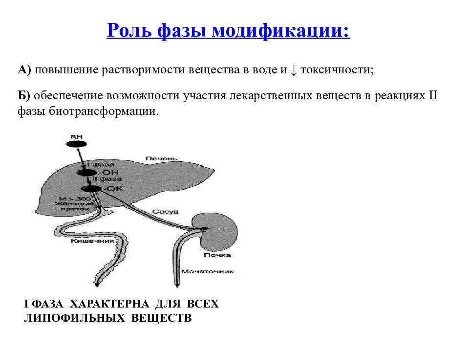 Биохимическое соединение. Фазы биотрансформации лекарственных веществ. Лекарственные вещества модификаторы. Усиление токсичных свойств соединений в результате биотрансформации. Биотрансформация лекарственных веществ на фоне курения.