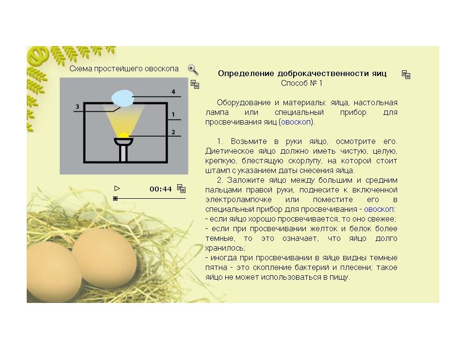Схема подготовки яиц куриных к производству