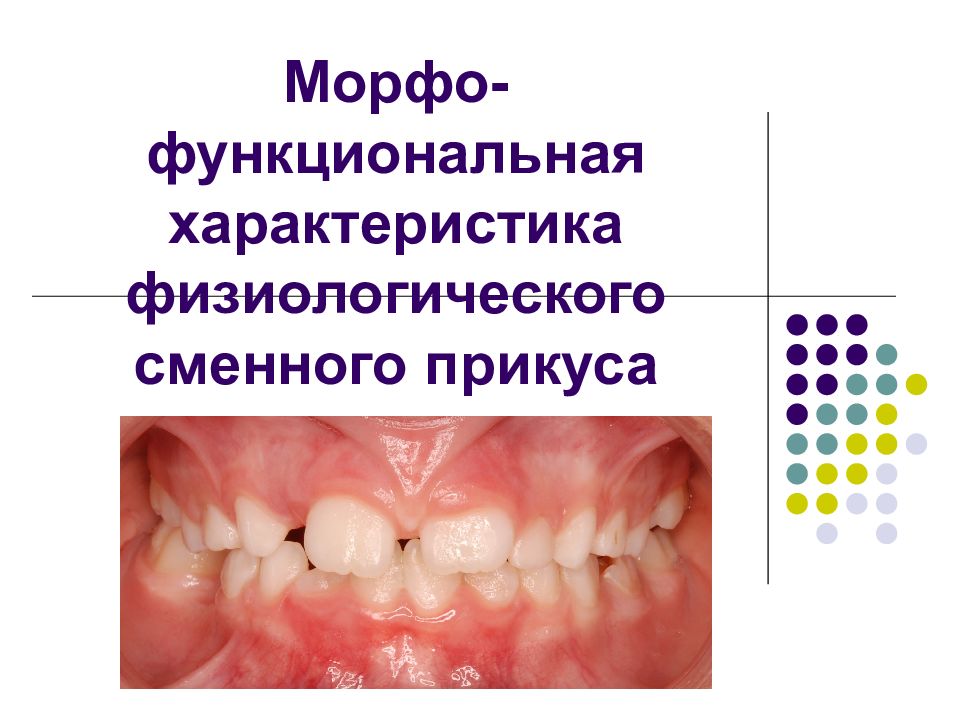 Морфо-функциональная характеристика физиологического сменного прикуса