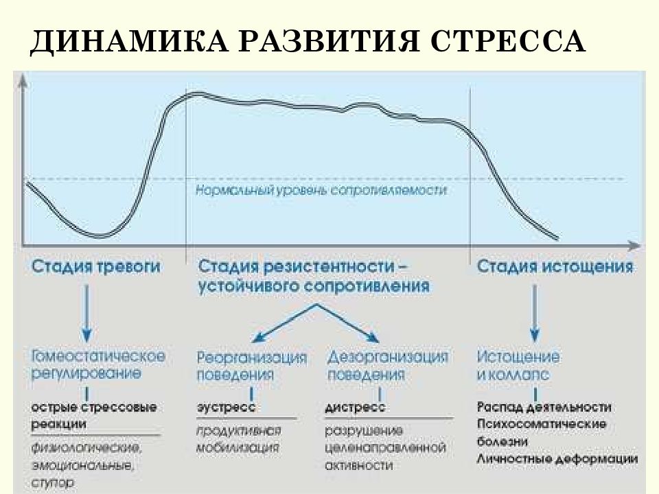 Назовите основные этапы развития стресса в физиологическом плане