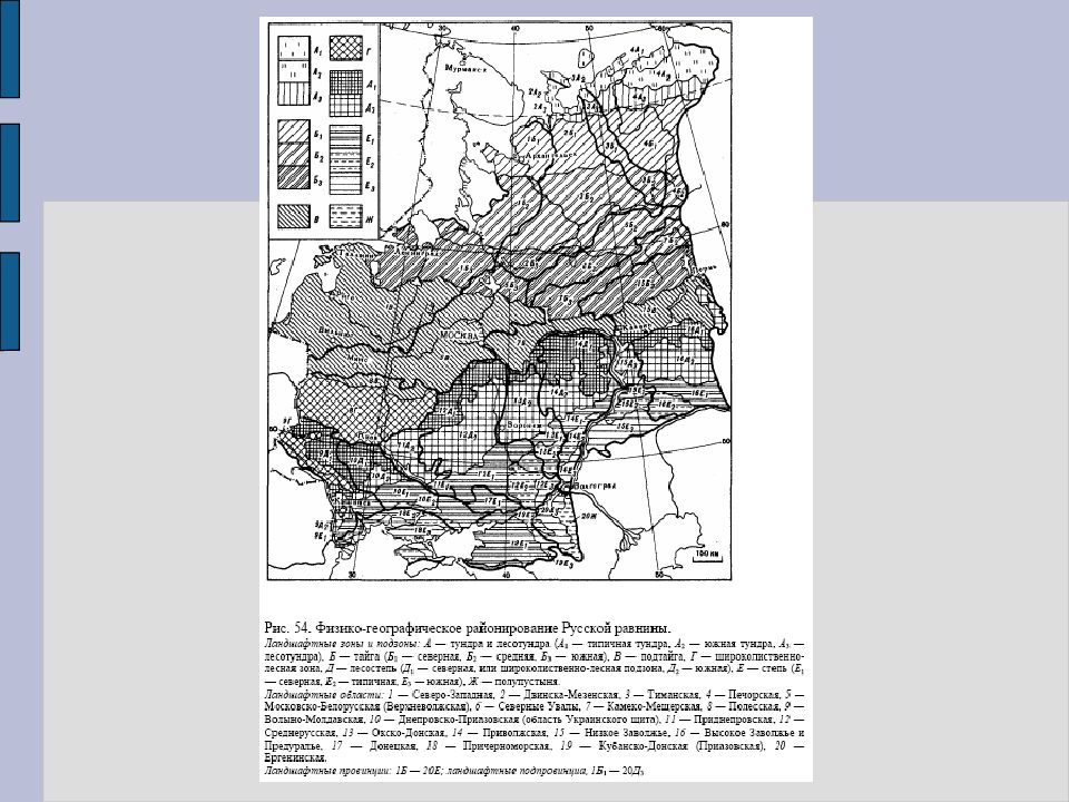 Физико географическое районирование. Физико-географическое районирование: Восточно-европейская Страна. Физико-географическое районирование русской равнины. Физико географические провинции русской равнины. Физико-географическое районирование европейской части России.