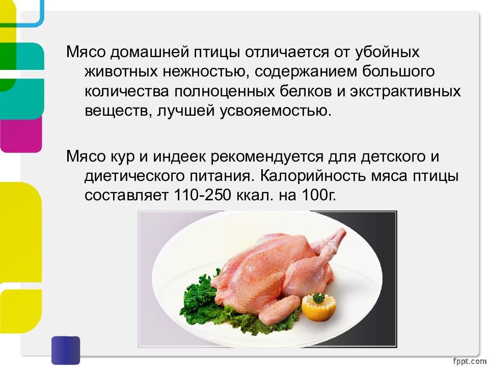 Проект на тему мясо птицы