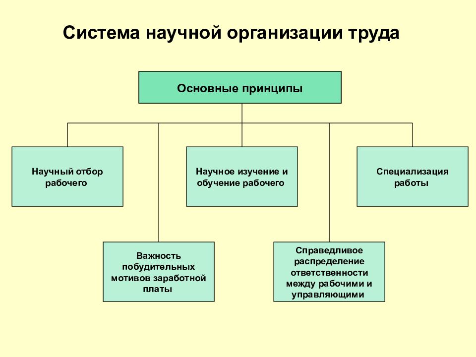 Формы организации системы управления
