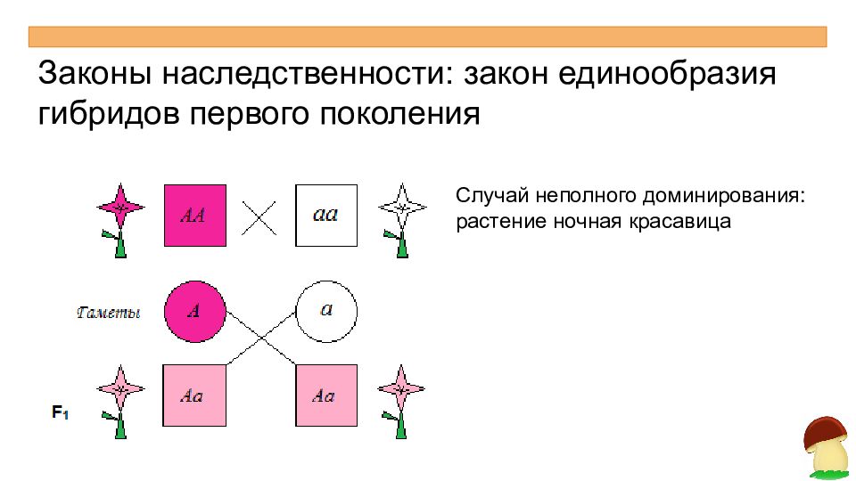 Частичный случай. Законы наследственности. Принципы наследственности. Основные законы наследственности. Законы наследования генетика.