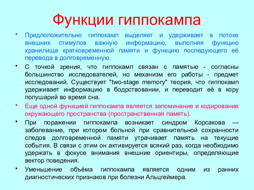 За какие функции отвечает. Функции гиппокампа. Гиппокамп функции. Основные функции гиппокампа. Гиппокамп головного мозга функции.