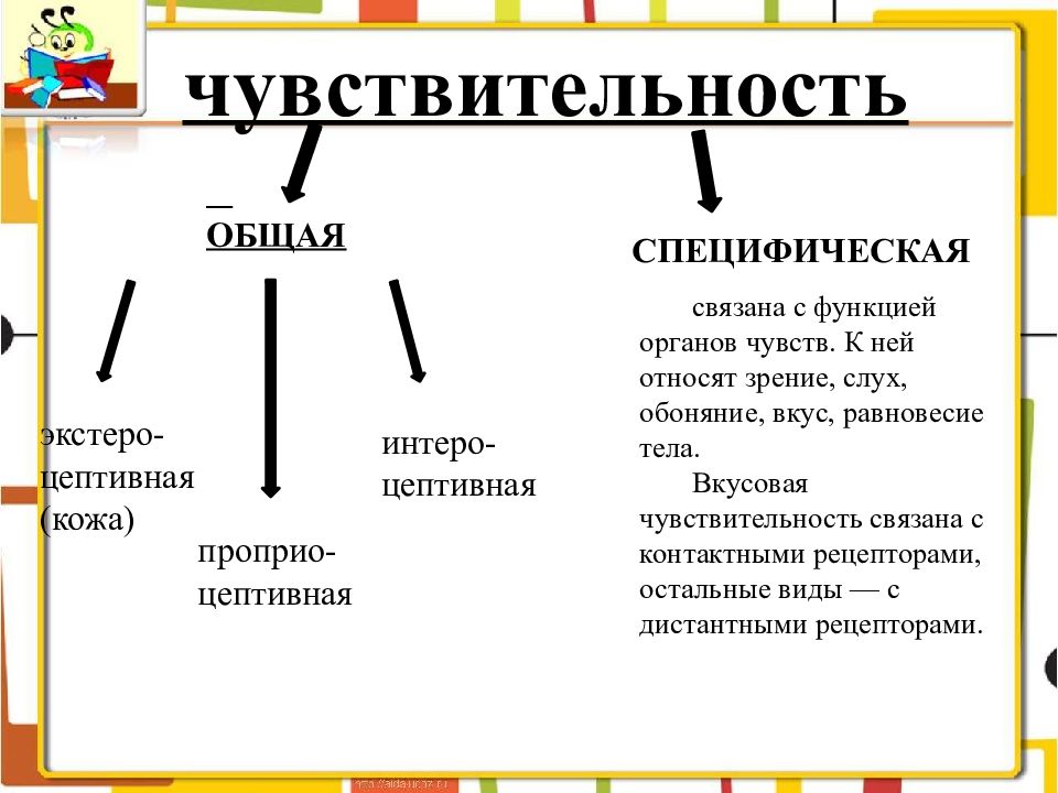 Патология органов слуха речи зрения. Основные патологии органов слуха и речи. Патологии органов слуха таблица. Охарактеризуйте основные патологии органов слуха и речи. Патология органов слуха.