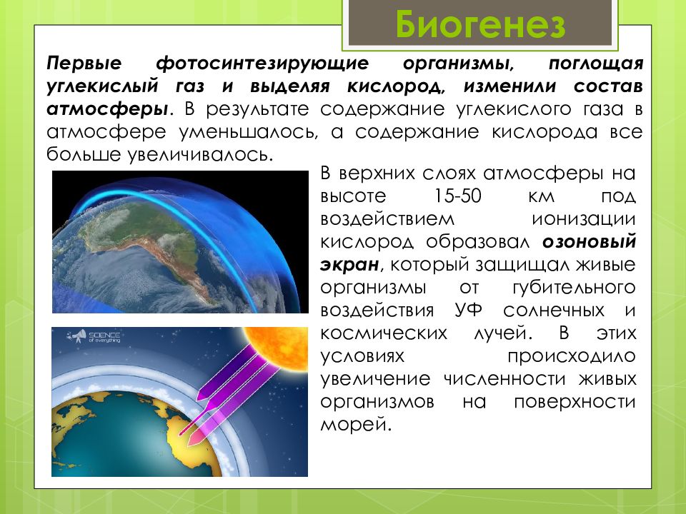 Биогенез