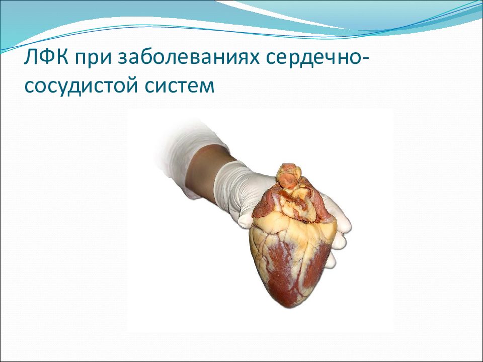 ЛФК при заболеваниях сердечно-сосудистой систем