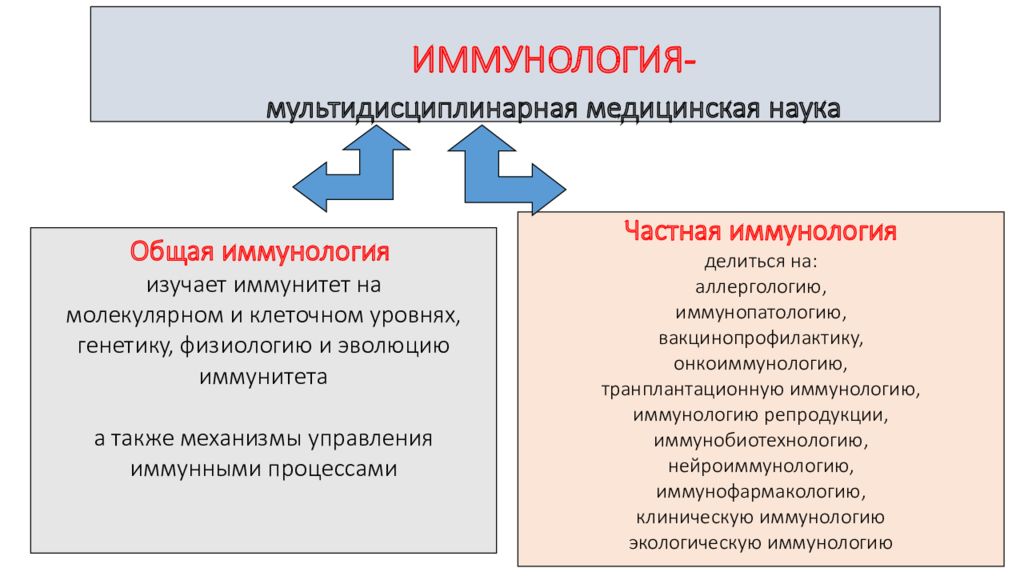 Иммунология это. Основные разделы иммунологии. Общая и частная иммунология. Общая иммунология изучает. Основные направления иммунологии.