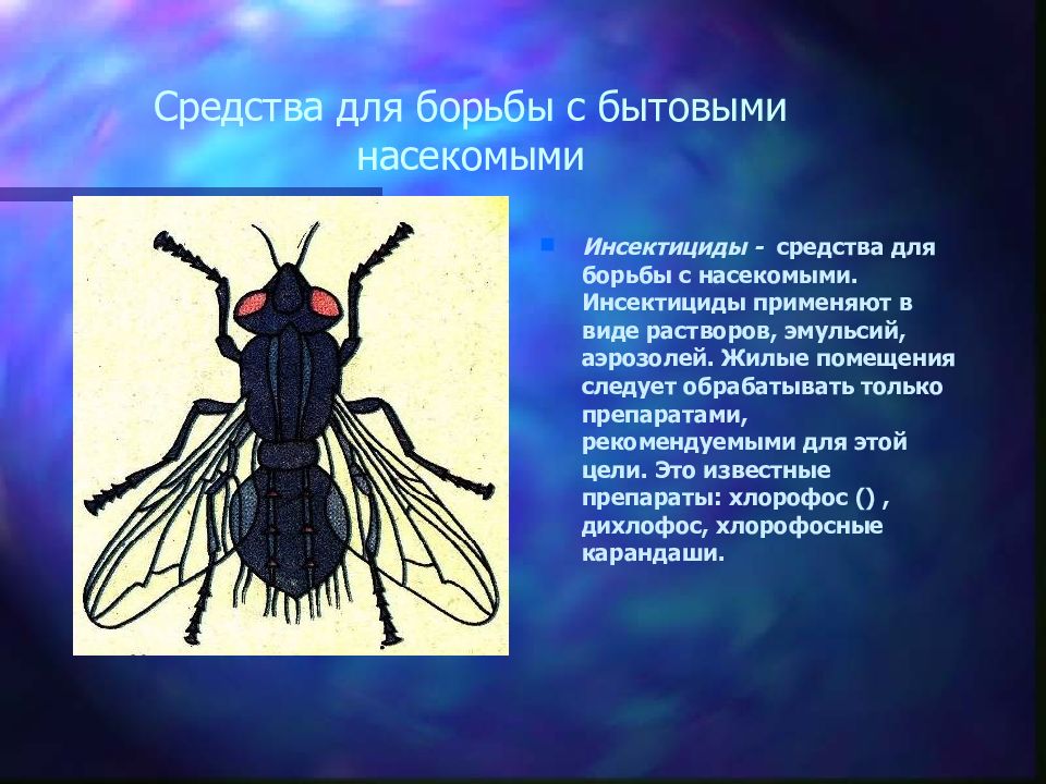 Бытовая химическая грамотность презентация 11 класс