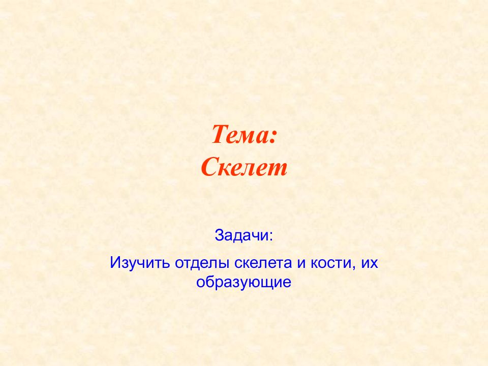 Строение скелета человека. Строение скелета презентация. Скелет туловища человека. Какая наука изучает скелет человека.