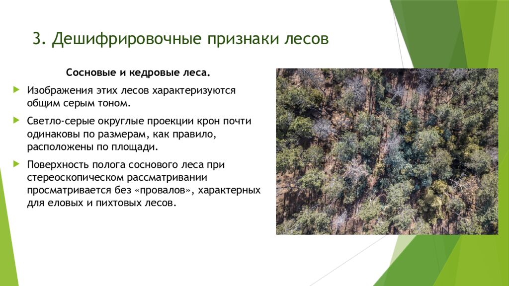 3. Дешифрировочные признаки лесов