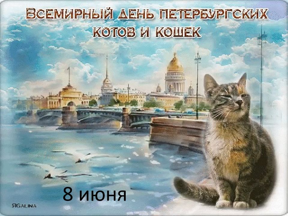 8 июня
