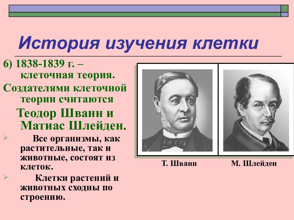 Теория шванна. Теодор Шванн и Матиас Шлейден клеточная теория. Клеточной теории Шванна и Шлейдена 1839. 1838 Шлейден и Шванн. Шлейден и Шванн клетка.