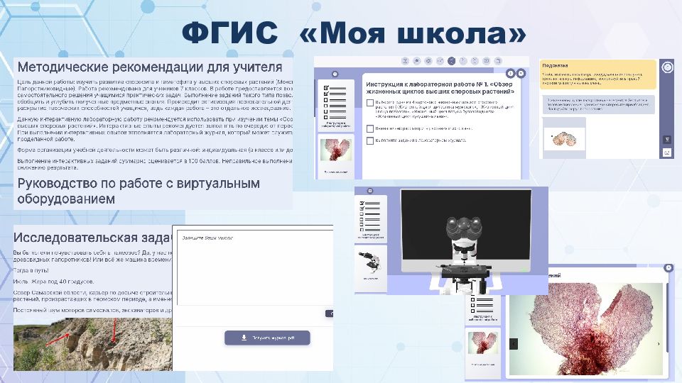 Фгис моя школа калужская область