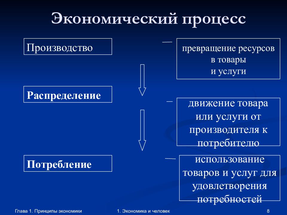 Виды экономических процессов. Принципы экономики. Принципы экономических ресурсов.