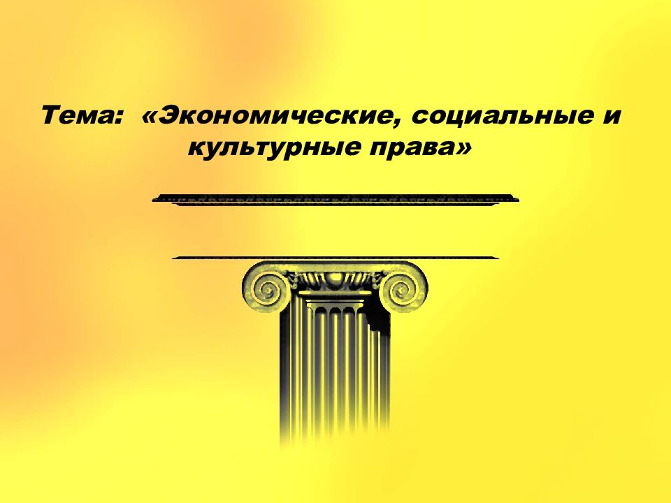 Экономические социальные и культурные права презентация