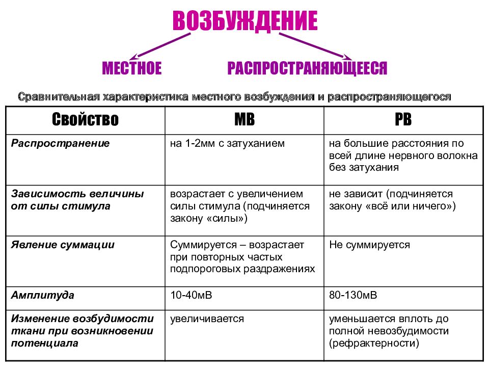 Возбудимые ткани физиология презентация